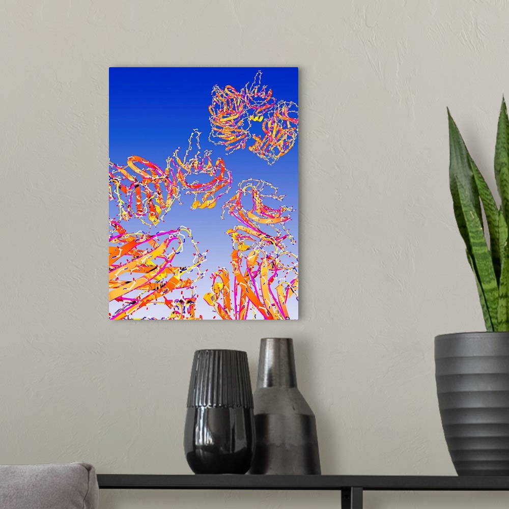 A modern room featuring C-reactive proteins, computer artwork. C-reactive proteins (CRPs) are produced by the liver durin...