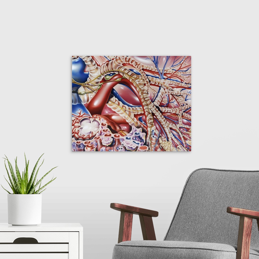 A modern room featuring Lung bronchioles. Artwork of the inside of the lung, showing the bronchioles (brown, banded), alv...
