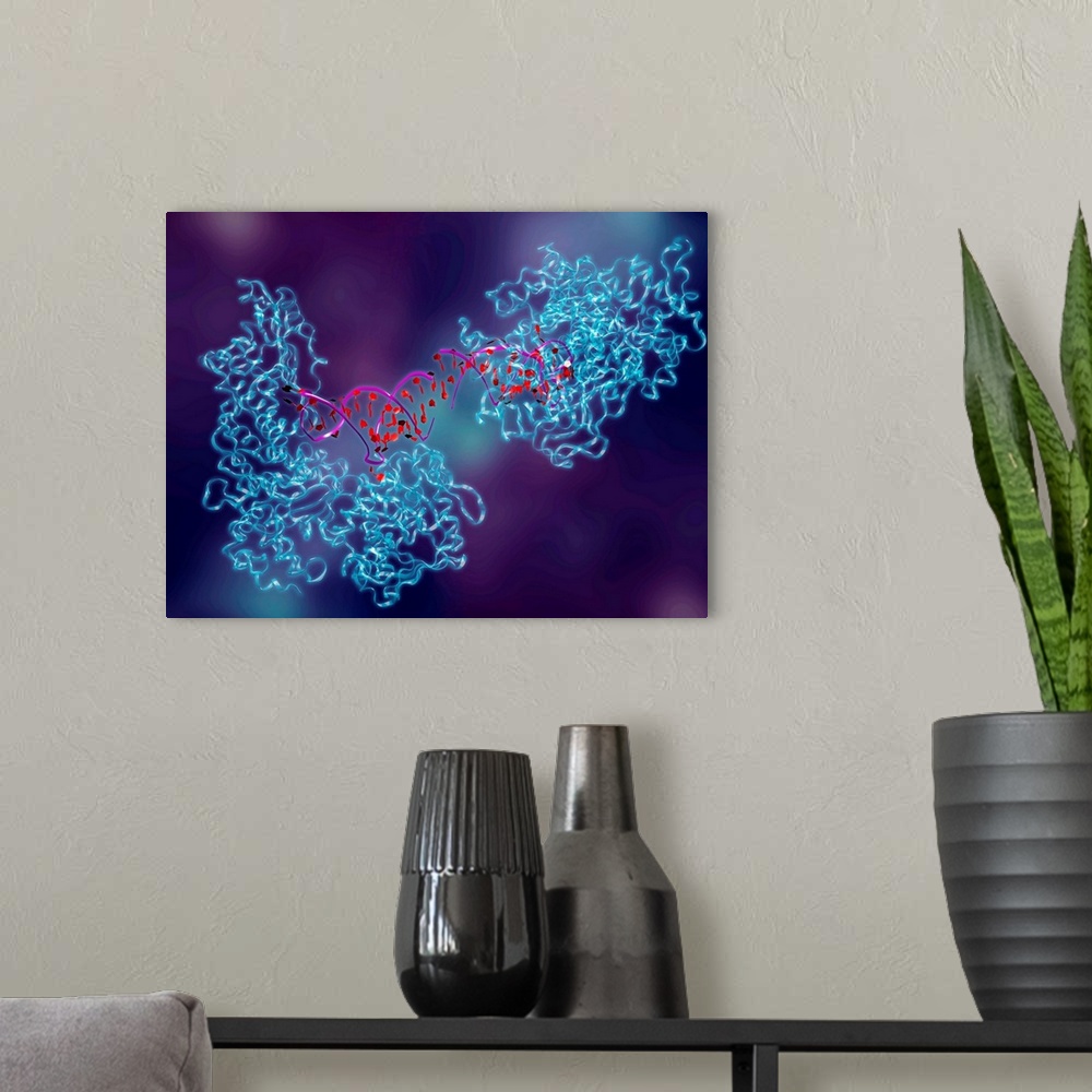 A modern room featuring Metabolic enzyme. Computer artwork of aconitase (blue), in complex with ferritin messenger ribonu...