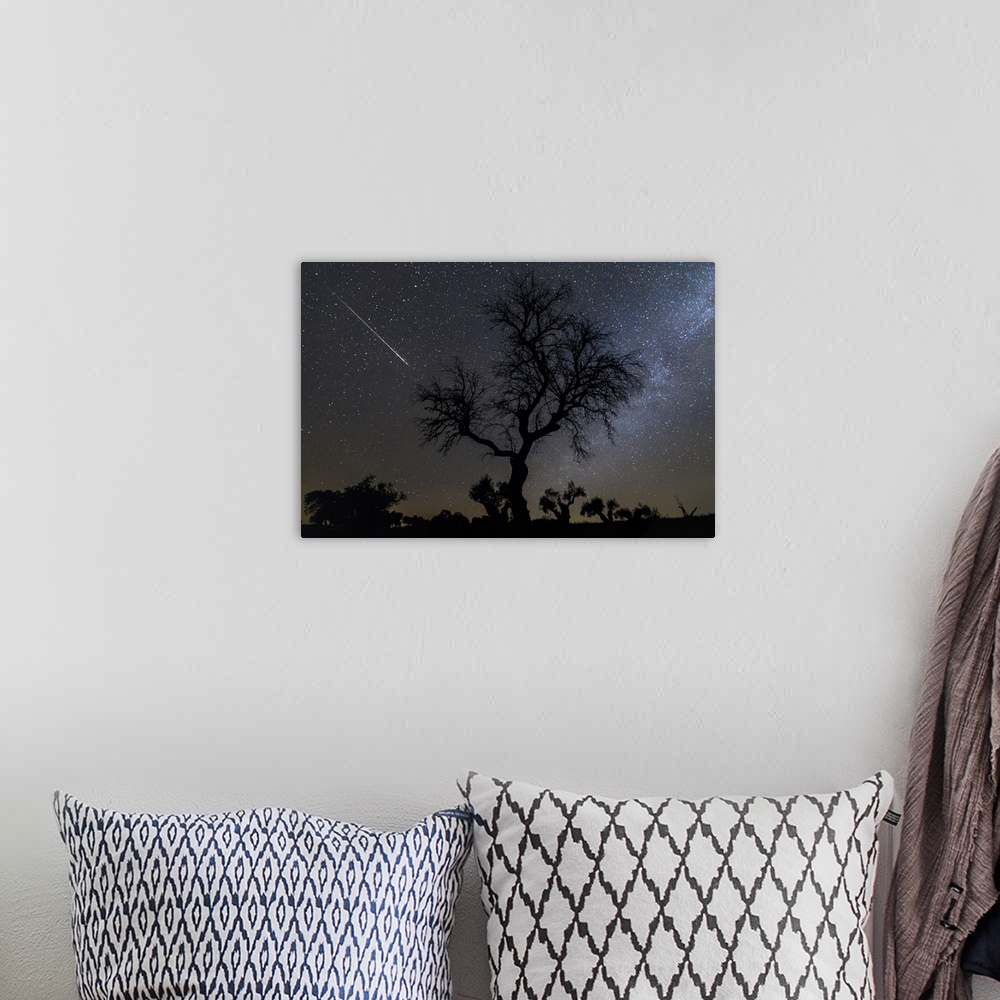 A bohemian room featuring Meteor and Milky Way with tree. Meteor (left) and the Milky Way (right) by a silhouetted tree in ...