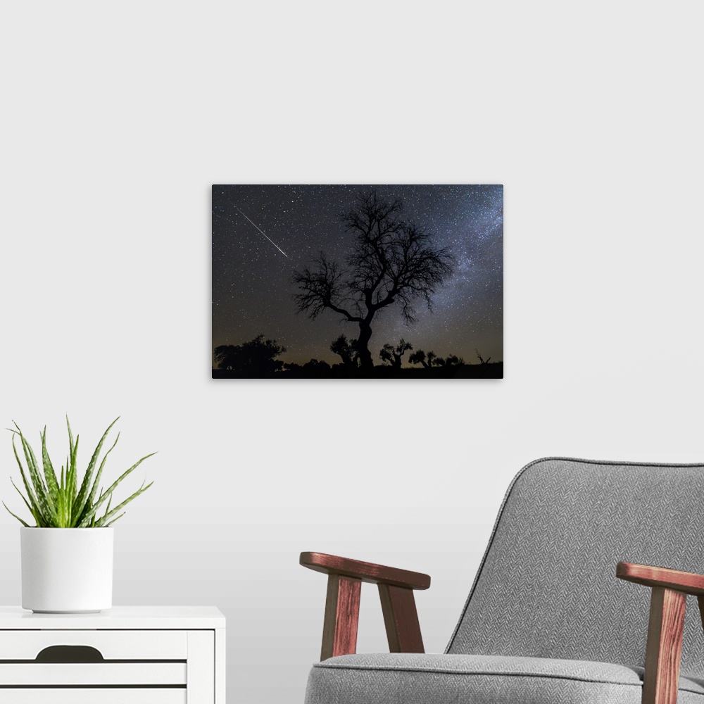 A modern room featuring Meteor and Milky Way with tree. Meteor (left) and the Milky Way (right) by a silhouetted tree in ...
