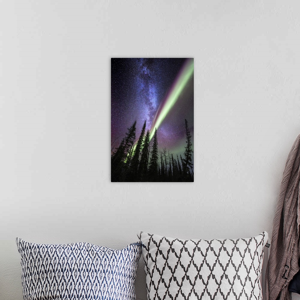 A bohemian room featuring A composite image with the milky way and the Aurora Borealis over spruce trees in Alaska. The Aur...