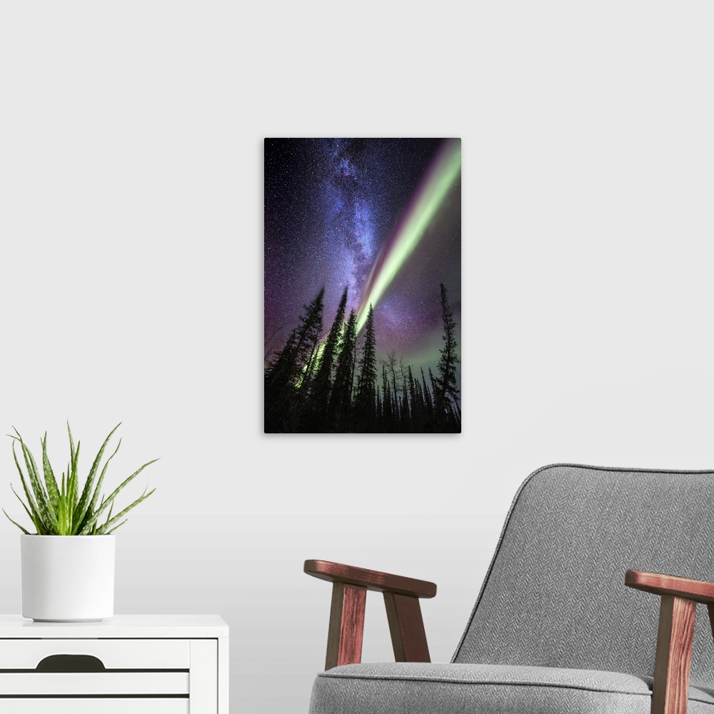 A modern room featuring A composite image with the milky way and the Aurora Borealis over spruce trees in Alaska. The Aur...