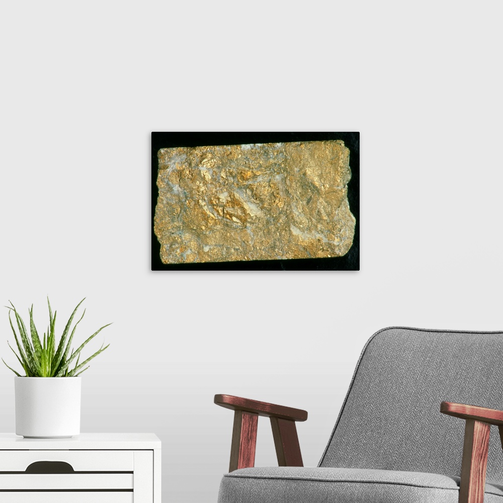 A modern room featuring Gold ore. A mining drill sample with a high concentration of gold ore. This soft, heavy, acid- re...