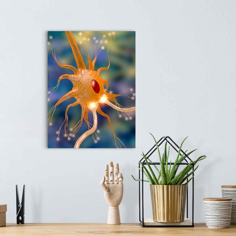 A bohemian room featuring Motor neurone and synapses. Computer graphic of a motor neurone and synapses (glowing yellow bulg...