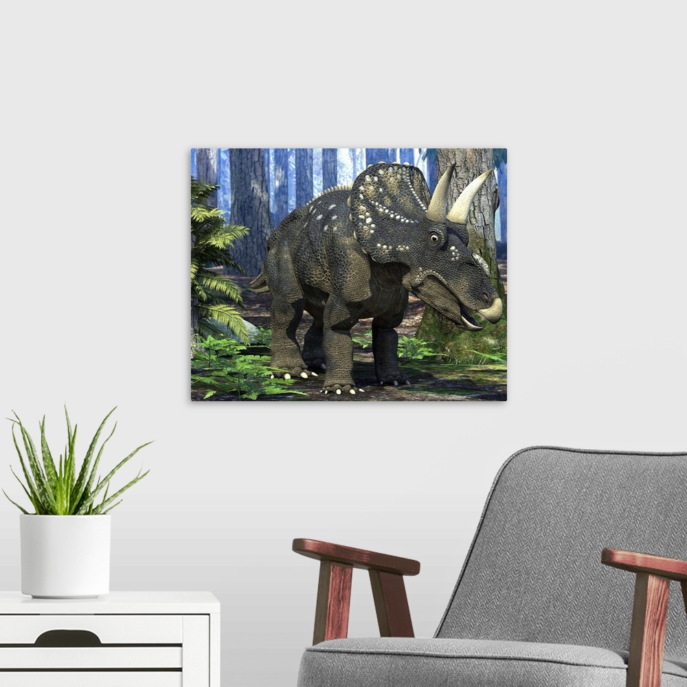 A modern room featuring Nedoceratops dinosaur in a prehistoric forest, computer artwork. Formerly known as Diceratops, th...