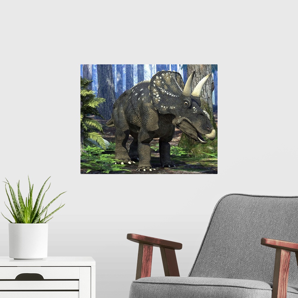 A modern room featuring Nedoceratops dinosaur in a prehistoric forest, computer artwork. Formerly known as Diceratops, th...
