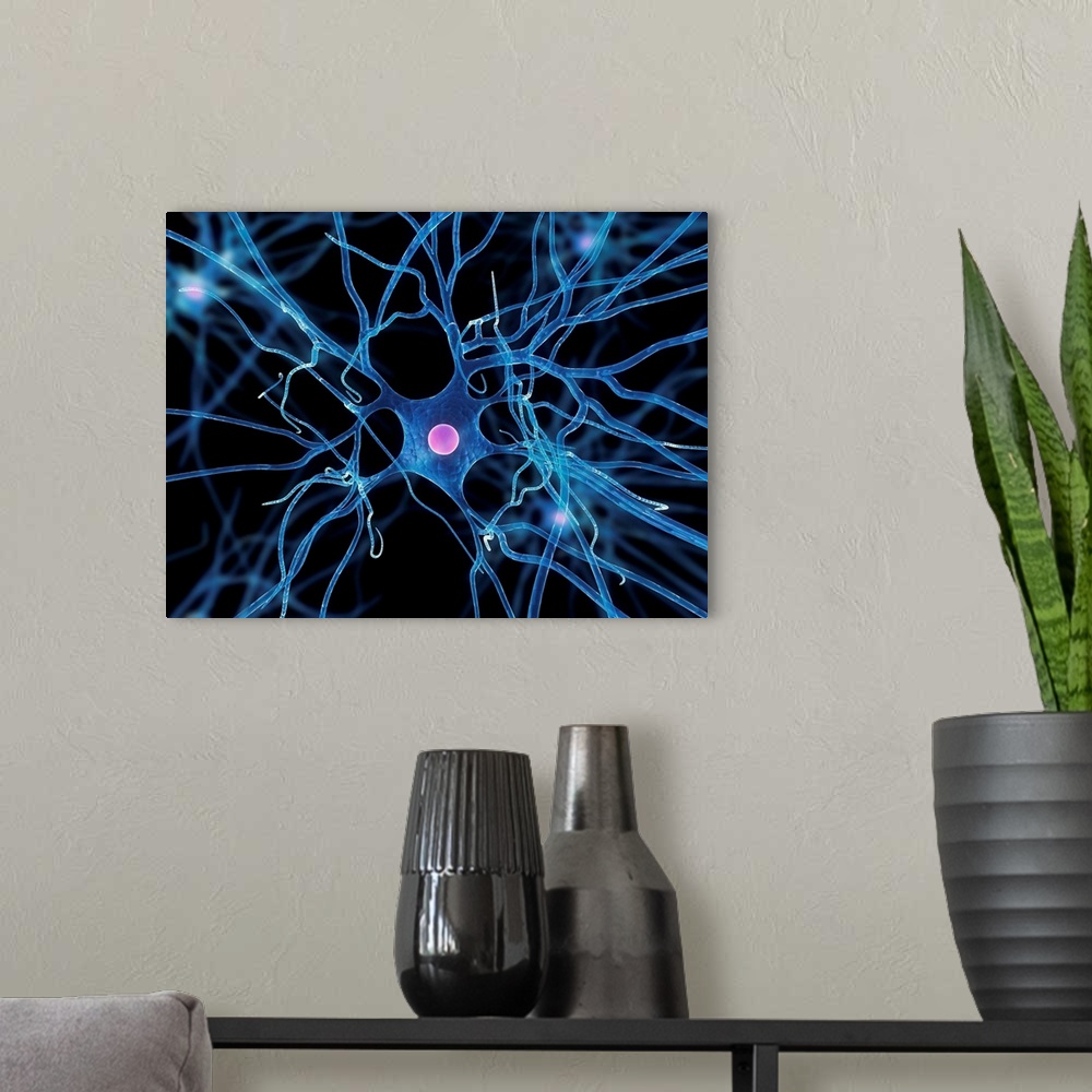 A modern room featuring Nerve cell, computer artwork.