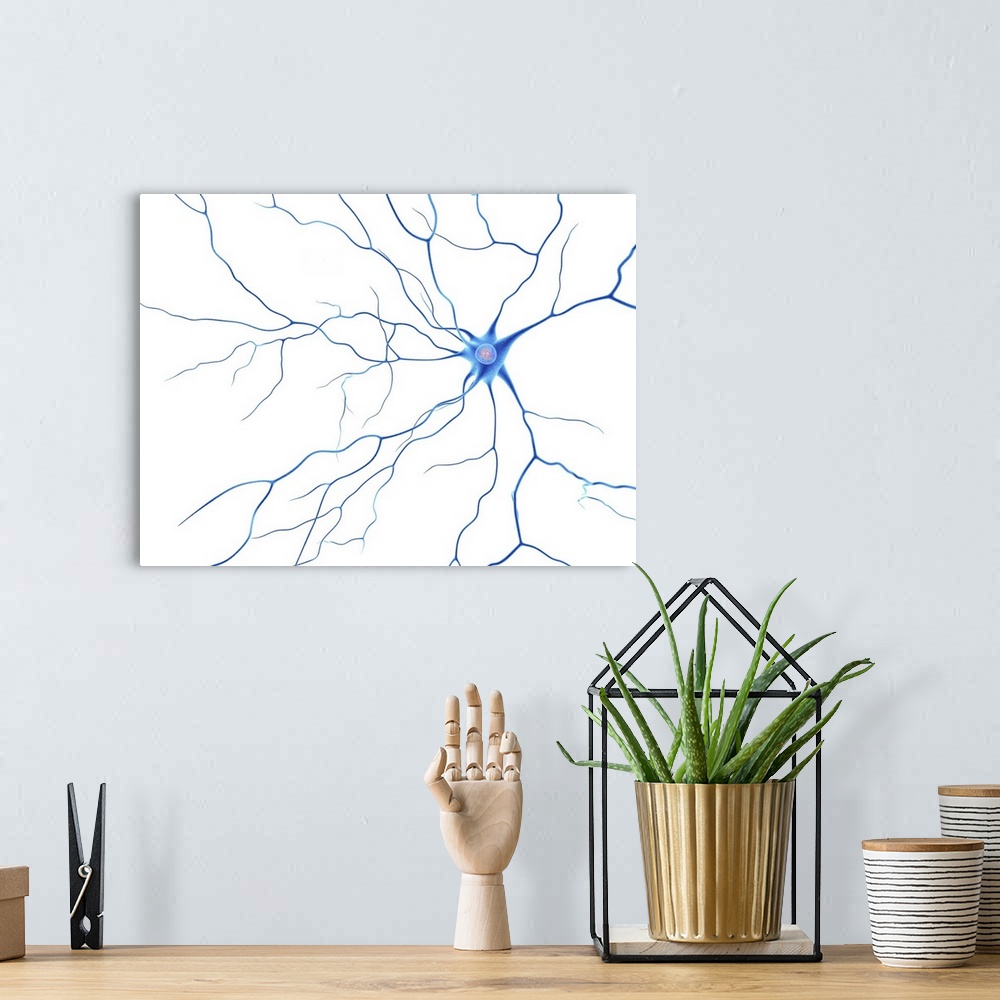 A bohemian room featuring Computer artwork of a nerve cells, also called neuron. Neurons are responsible for passing inform...