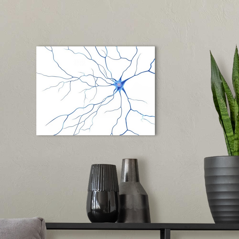 A modern room featuring Computer artwork of a nerve cells, also called neuron. Neurons are responsible for passing inform...