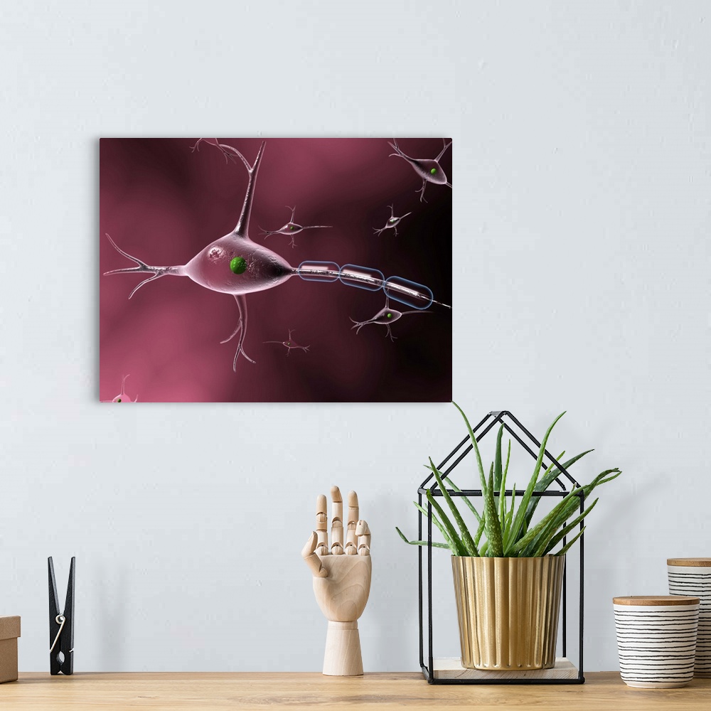 A bohemian room featuring Nerve cell. Computer artwork of a nerve cell or neuron. Other nerve cells are seen in the backgro...