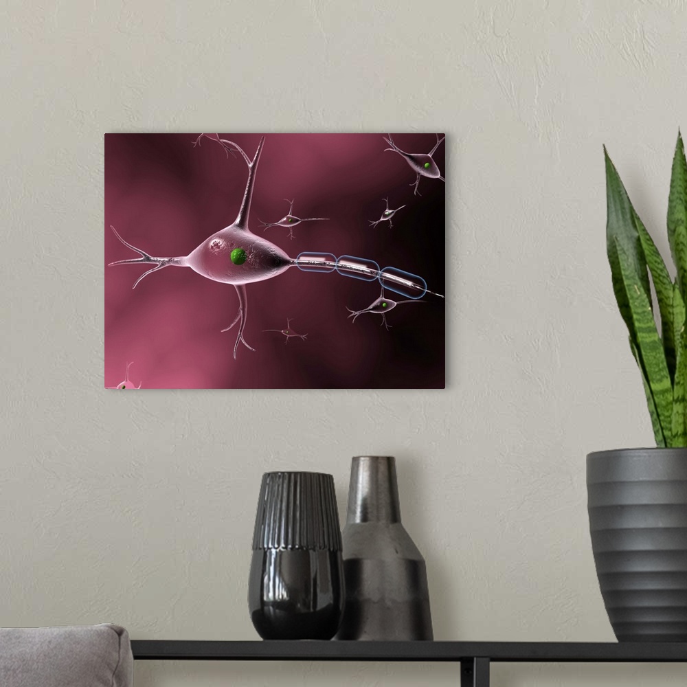 A modern room featuring Nerve cell. Computer artwork of a nerve cell or neuron. Other nerve cells are seen in the backgro...