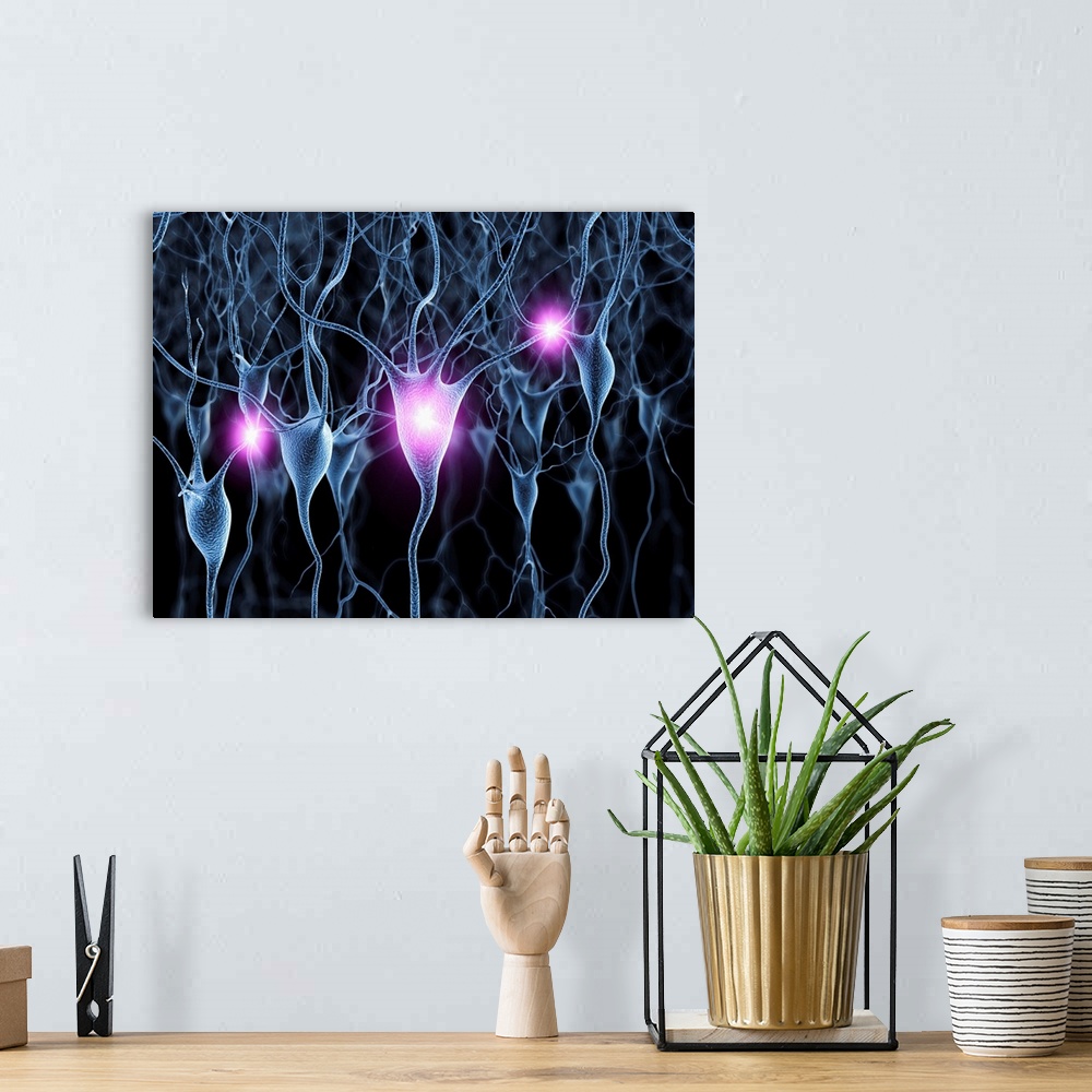 A bohemian room featuring Computer artwork of firing nerve cells, also called neurons. Neurons are responsible for passing ...
