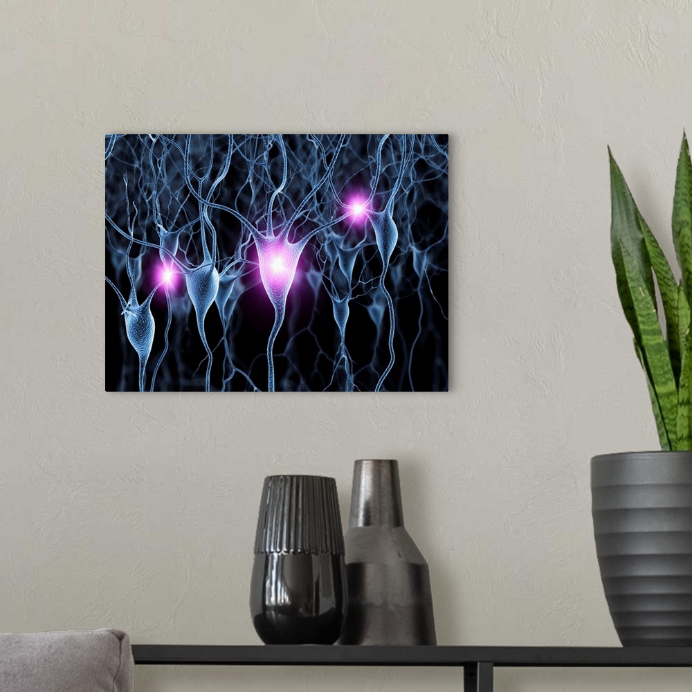 A modern room featuring Computer artwork of firing nerve cells, also called neurons. Neurons are responsible for passing ...