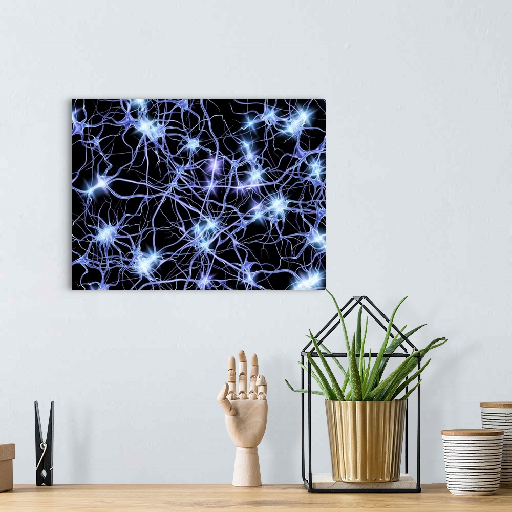 A bohemian room featuring Nerve cells. Computer artwork of nerve cells or neurons firing.