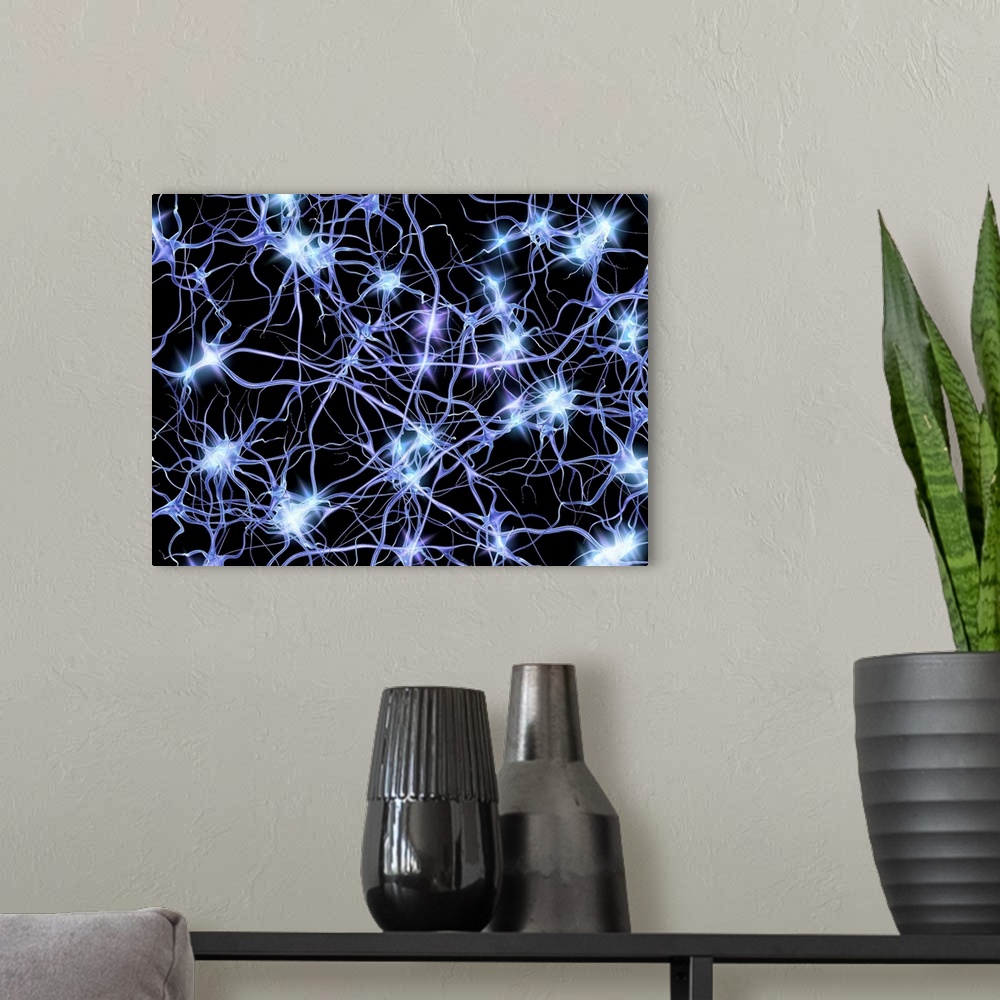 A modern room featuring Nerve cells. Computer artwork of nerve cells or neurons firing.