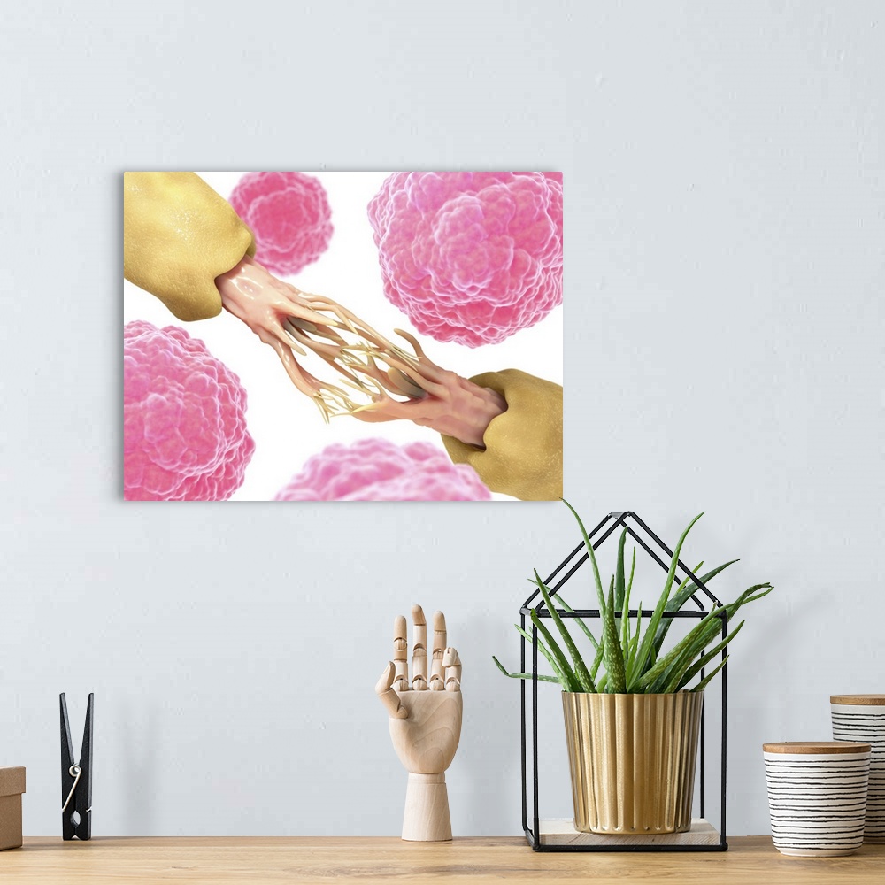 A bohemian room featuring Nerve damage and stem cells, computer artwork. Stem cells are undifferentiated cells that can pro...