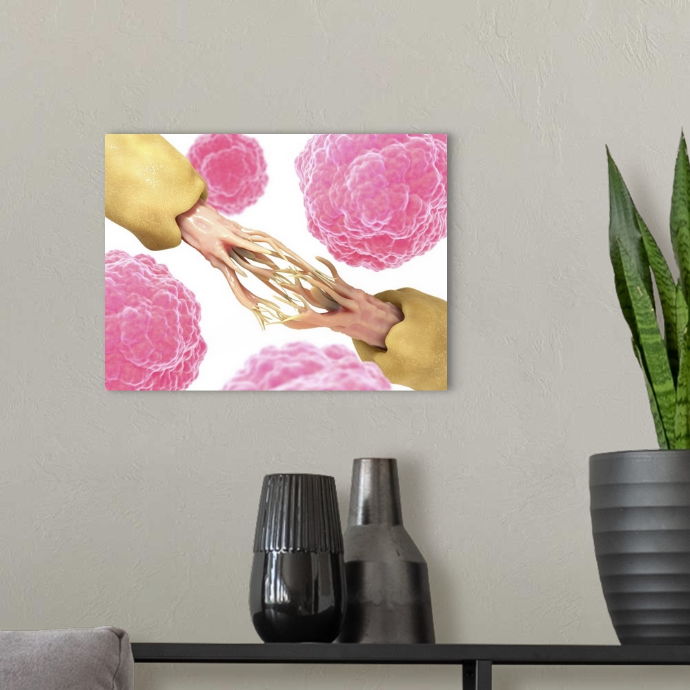 A modern room featuring Nerve damage and stem cells, computer artwork. Stem cells are undifferentiated cells that can pro...