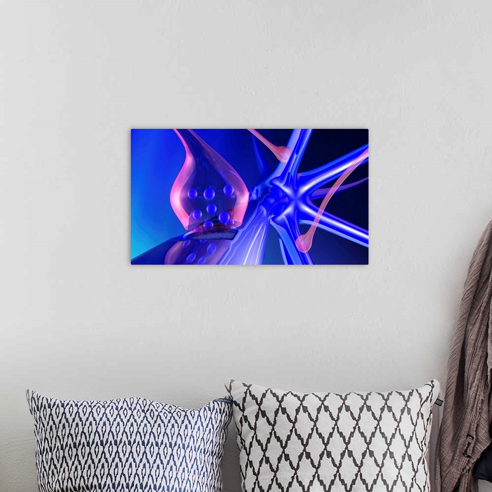 A bohemian room featuring Synapse. Computer artwork of a synapse, the junction between two nerve cells. Other nerve cell bo...