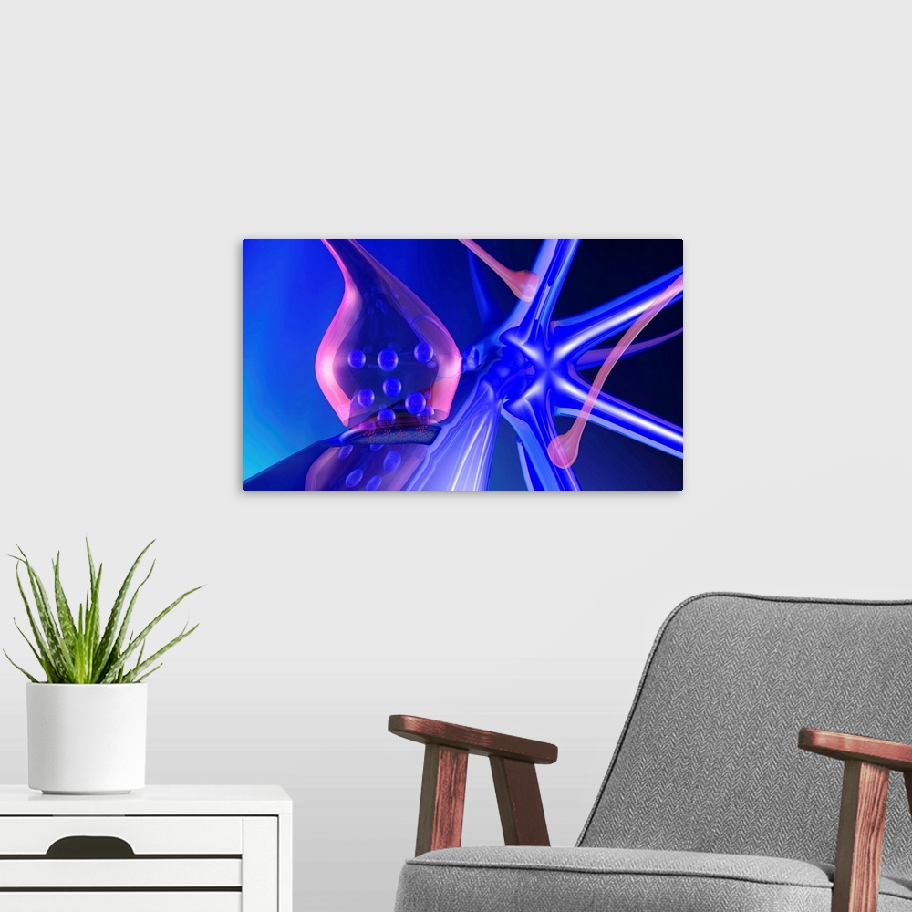 A modern room featuring Synapse. Computer artwork of a synapse, the junction between two nerve cells. Other nerve cell bo...