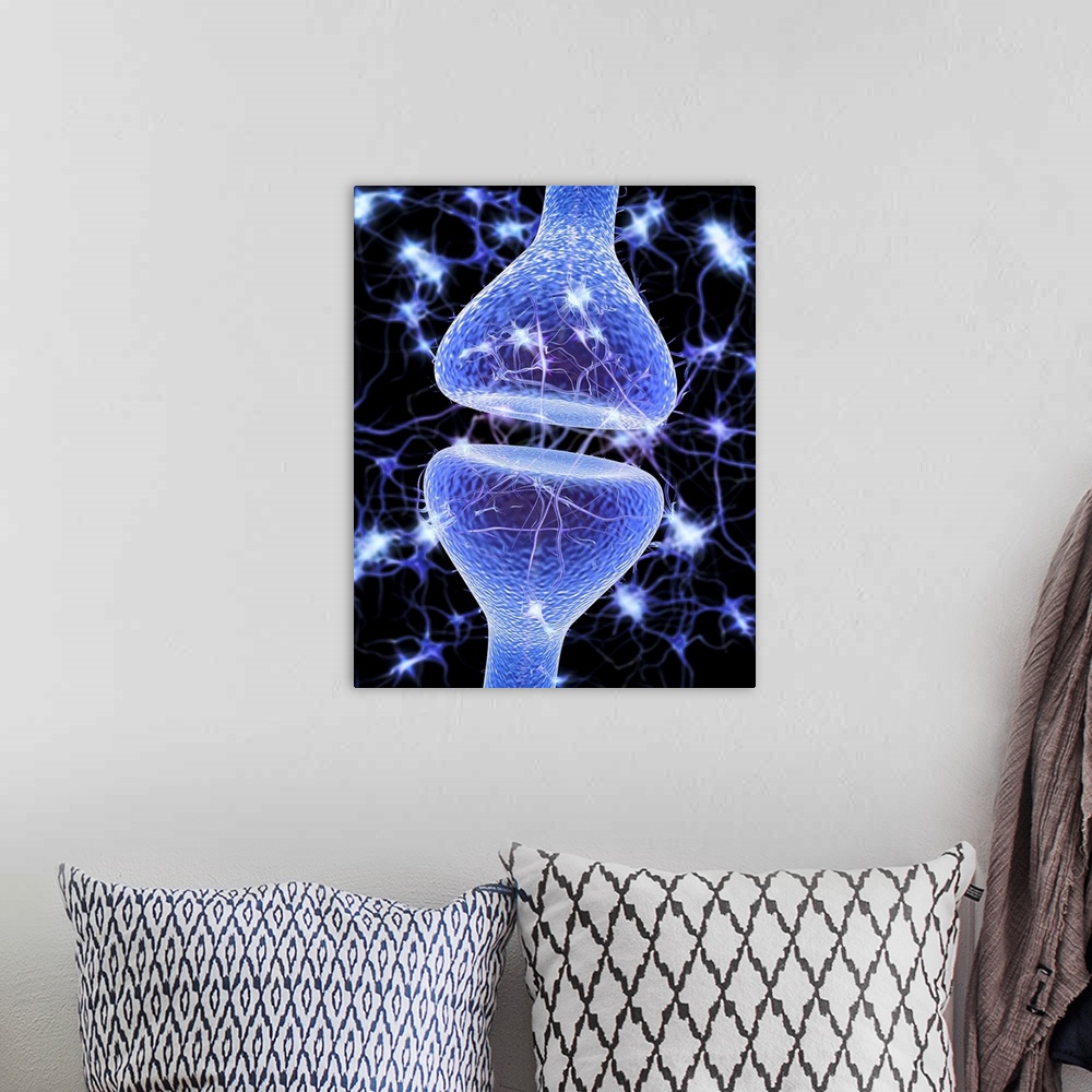 A bohemian room featuring Nerve synapse. Computer artwork of a junction, or synapse, between two nerve cells (neurons, blue...