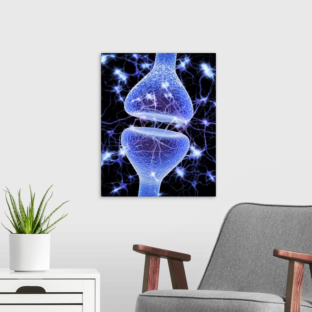 A modern room featuring Nerve synapse. Computer artwork of a junction, or synapse, between two nerve cells (neurons, blue...