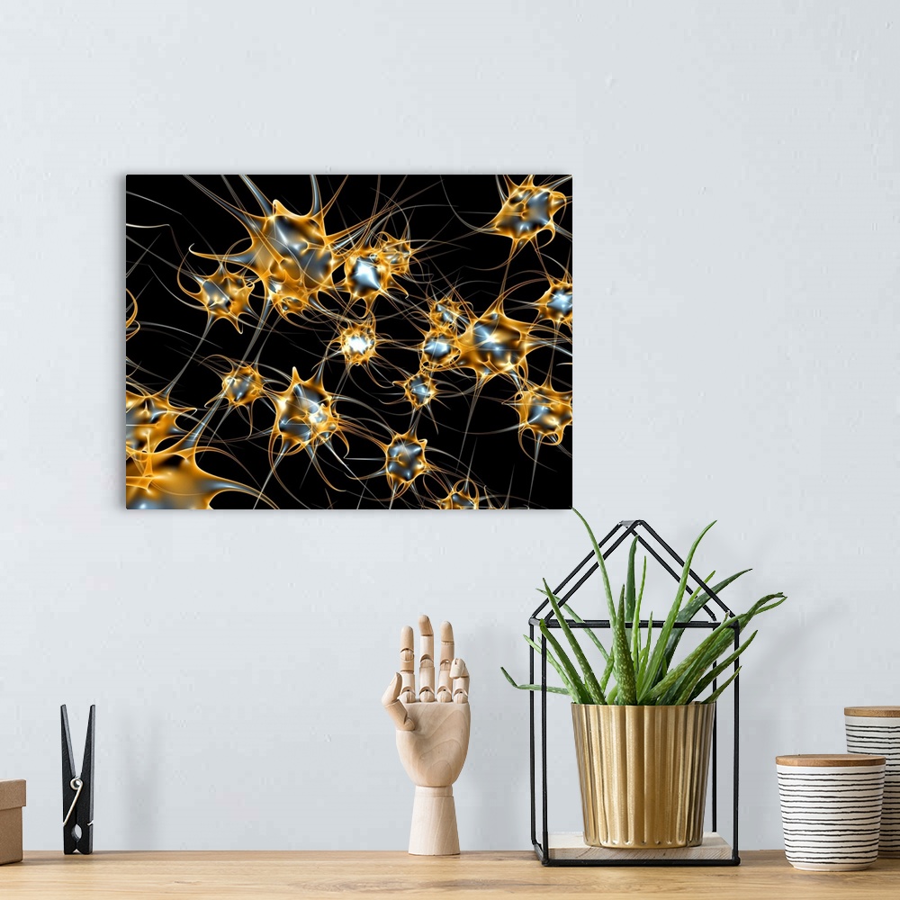 A bohemian room featuring Neural network. Computer artwork of nerve cells or neurons. Neurons are responsible for passing i...