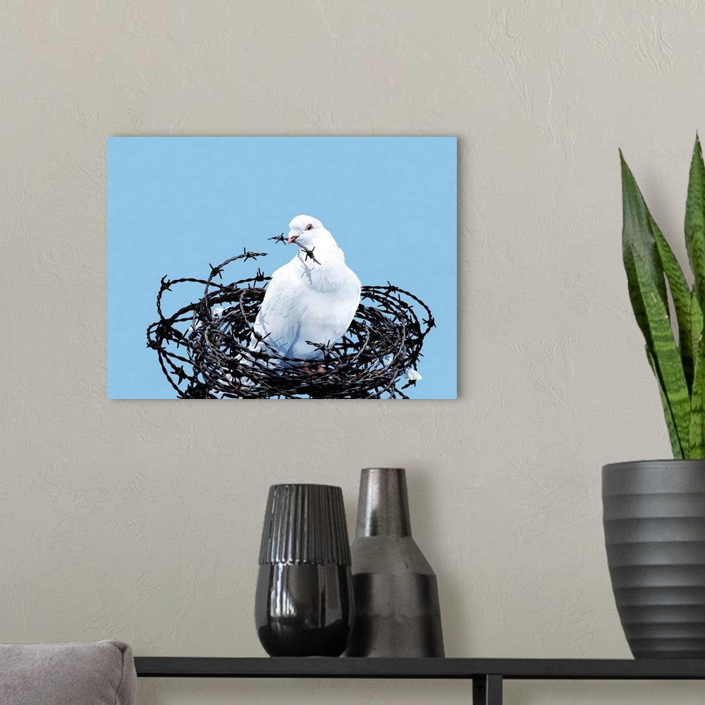 A modern room featuring Peace dove. Conceptual image of a dove in a nest of barbed wire, with a piece of barbed wire in i...