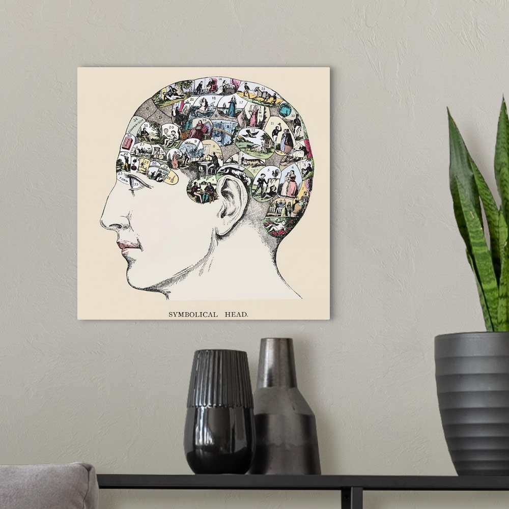 A modern room featuring Phrenology chart. Phrenology is a pseudo-science that states that a person's personality and char...