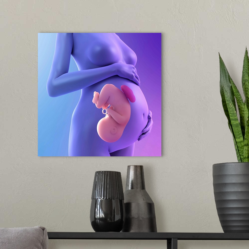 A modern room featuring Pregnancy, conceptual computer artwork.