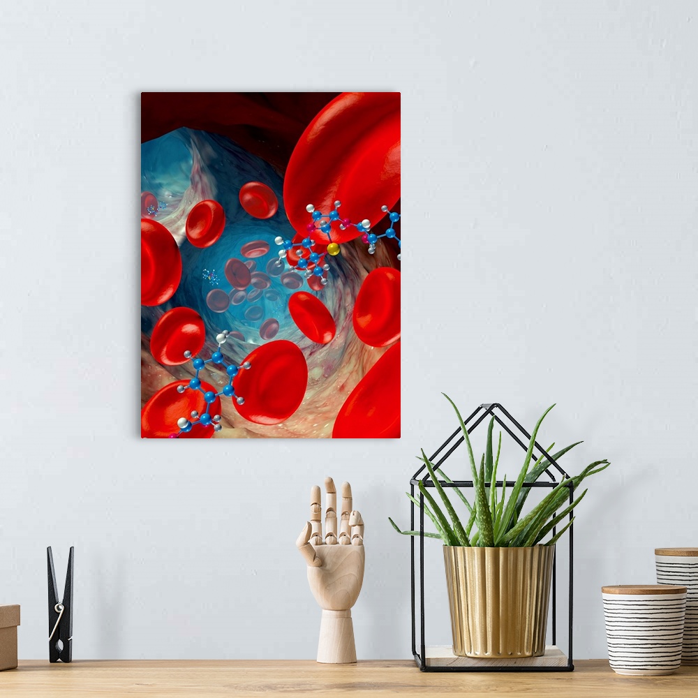 A bohemian room featuring Red blood cells and drug molecules, computer artwork. Red blood cells (erythrocytes) are responsi...