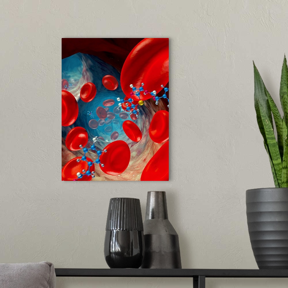 A modern room featuring Red blood cells and drug molecules, computer artwork. Red blood cells (erythrocytes) are responsi...