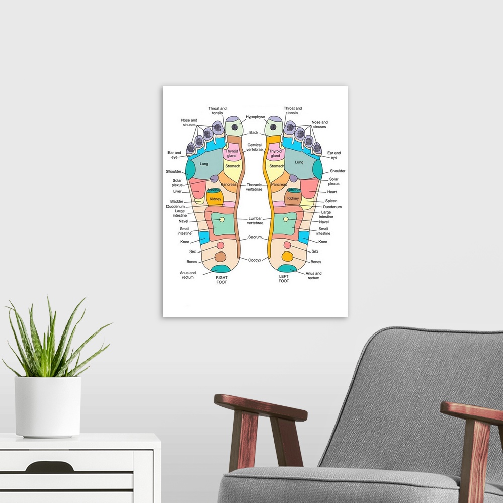 A modern room featuring Reflexology foot map, artwork. Reflexology is a form of alternative medicine in which disorders i...