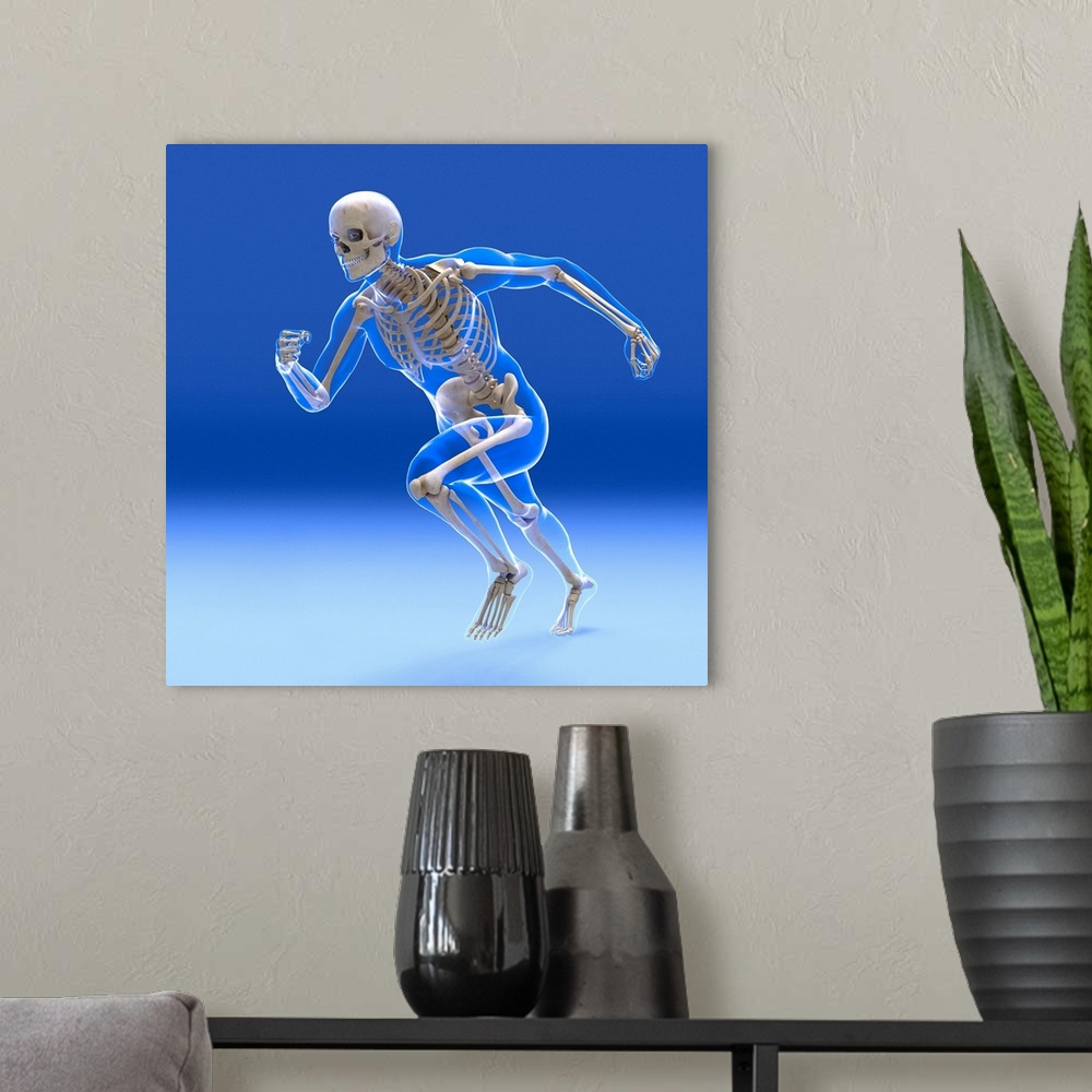 A modern room featuring Running skeleton inside an outline of the body, computer artwork.