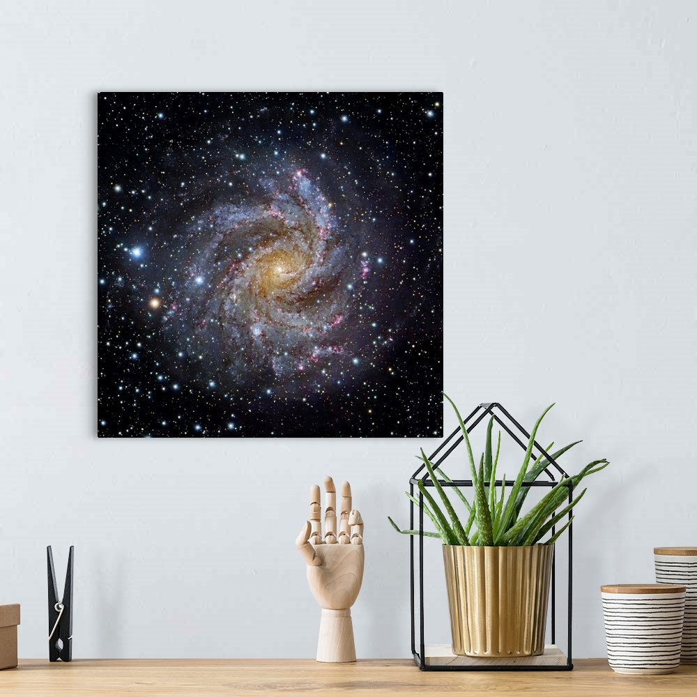 A bohemian room featuring Spiral galaxy NGC 6949, optical image. This galaxy is located between 10 and 20 million light yea...