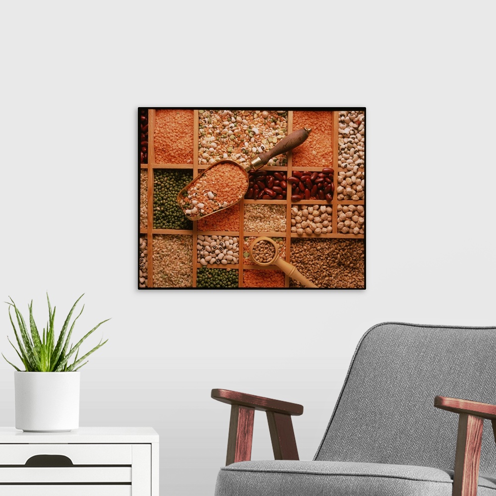 A modern room featuring Store of various grains and pulses, including lentils (orange), Aduki beans (green), red kidney b...