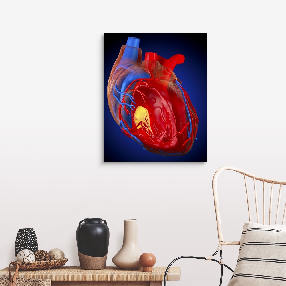 A farmhouse room featuring Structure of a human heart. Computer artwork of a heart with the right ventricle (second chamber)...