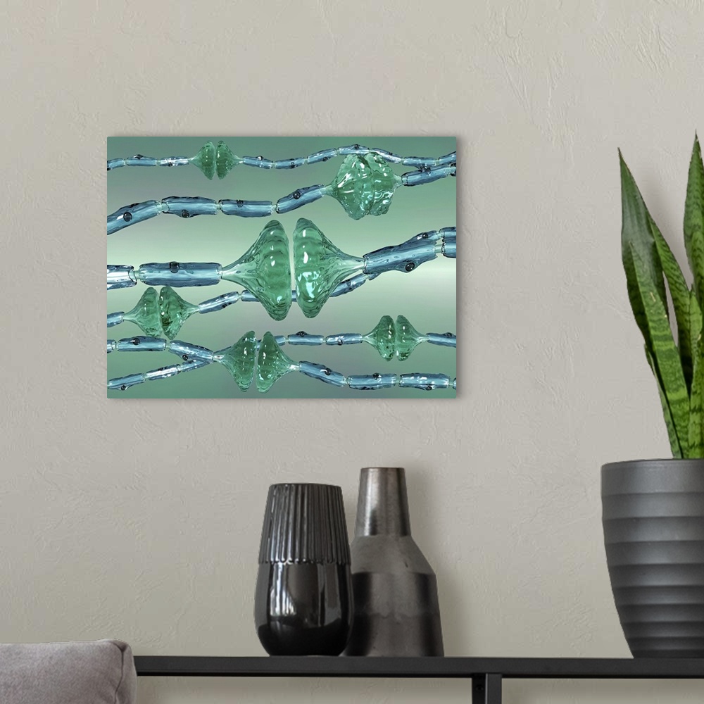 A modern room featuring Synapses. Computer artwork of synapses, the junctions between the ends (green, swollen) of two ne...