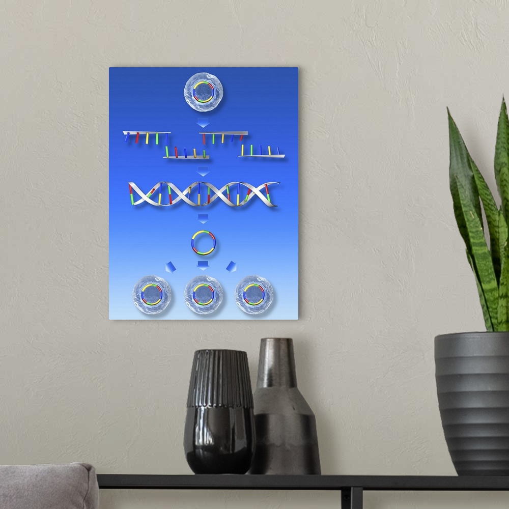 A modern room featuring Computer artwork depicting the creation of synthetic cells. From top: the chromosome of an existi...