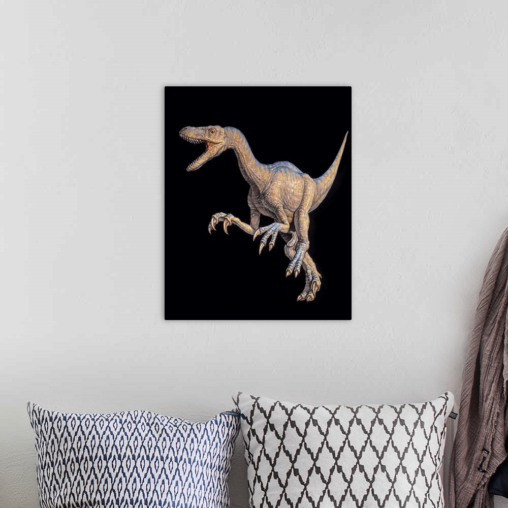 A bohemian room featuring Velociraptor dinosaur. Artwork of a Velociraptor dinosaur. This small raptor reached just under 2...