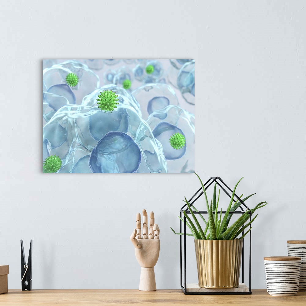 A bohemian room featuring Virus particles (green) entering cells, computer artwork. The cell nuclei (dark blue) are also se...