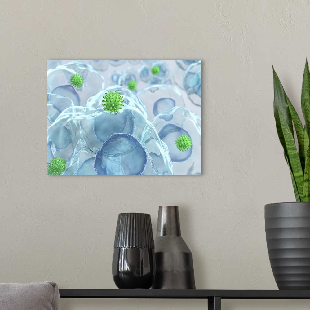 A modern room featuring Virus particles (green) entering cells, computer artwork. The cell nuclei (dark blue) are also se...