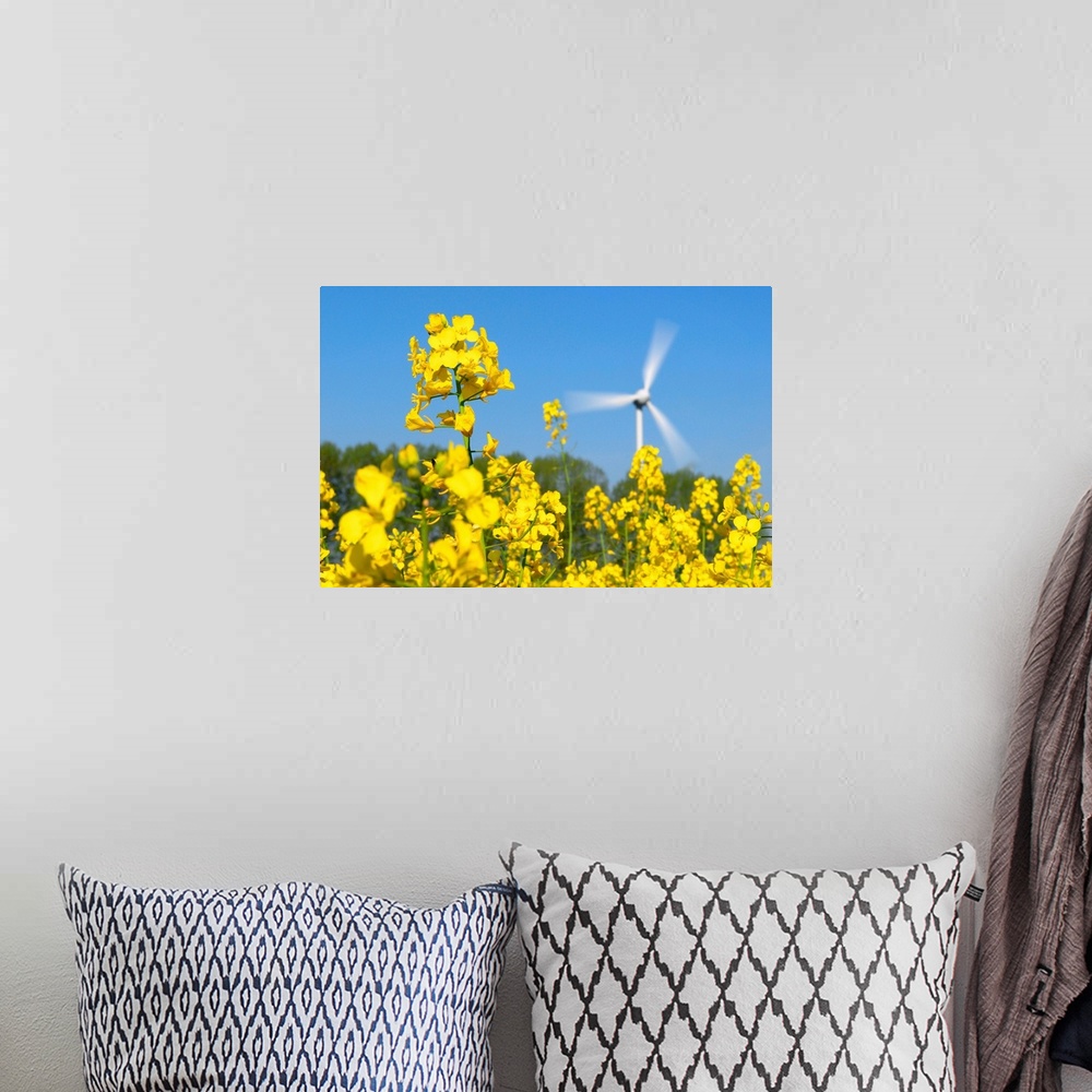 A bohemian room featuring Wind turbine in a rape field. Wind power is a renewable and clean source of energy for electricit...