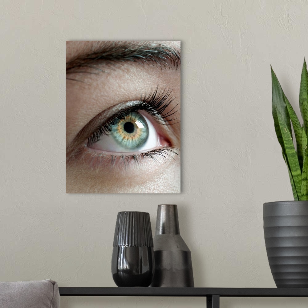 A modern room featuring Woman's eye.