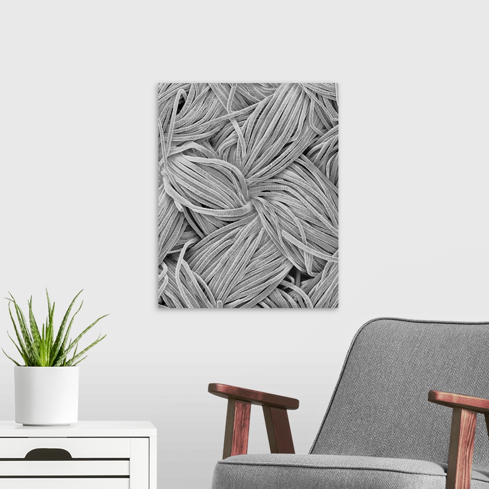 A modern room featuring Scanning electron micrograph (SEM) of Woven wool fabric (herringbone pattern). Wool is the fibre ...