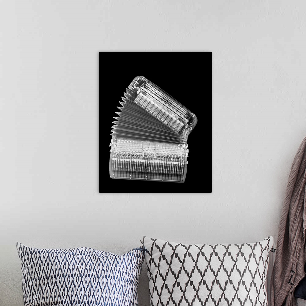 A bohemian room featuring X-ray of an Accordion on black background