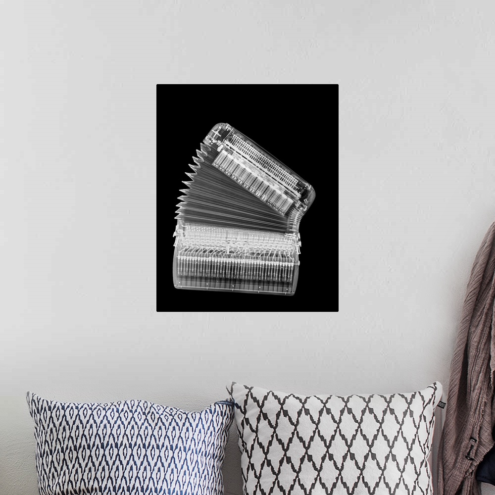 A bohemian room featuring X-ray of an Accordion on black background