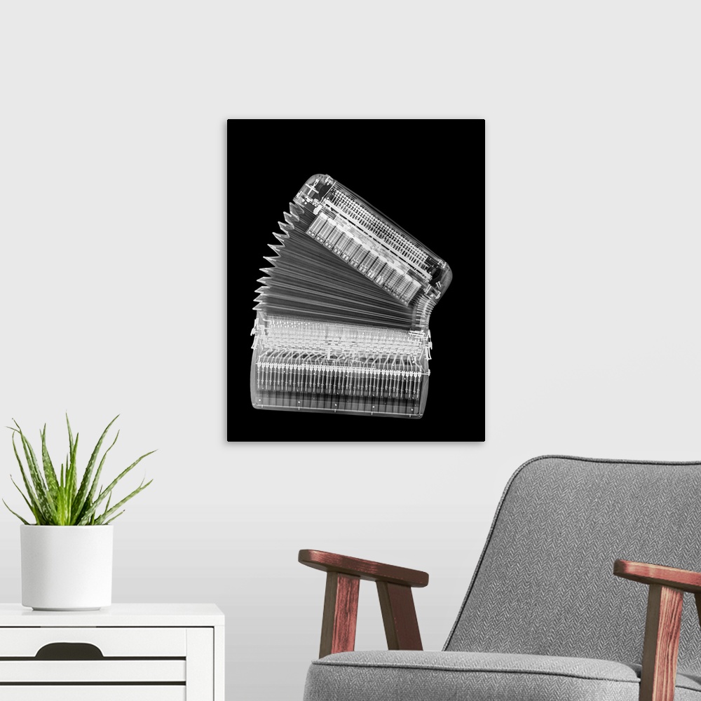 A modern room featuring X-ray of an Accordion on black background