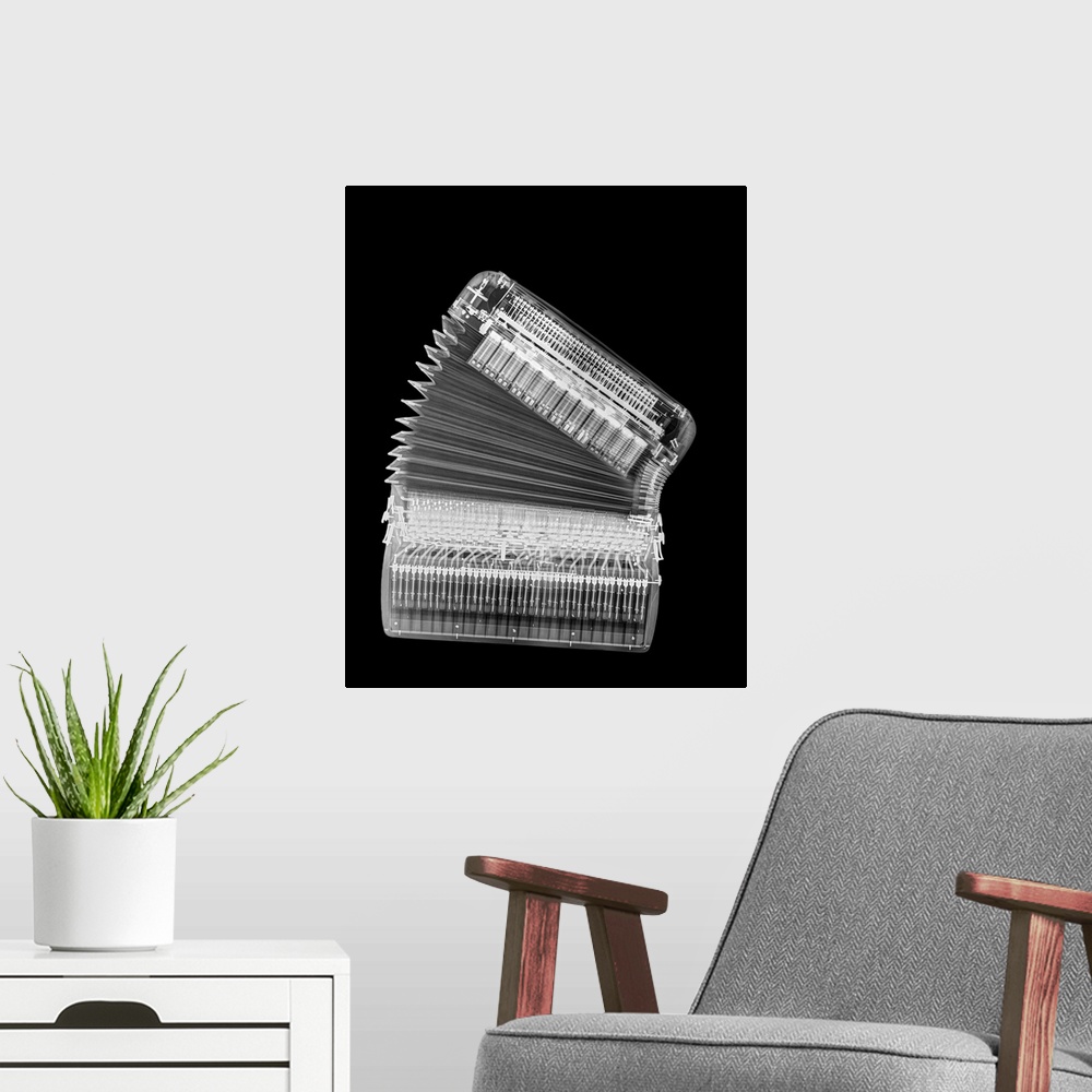 A modern room featuring X-ray of an Accordion on black background