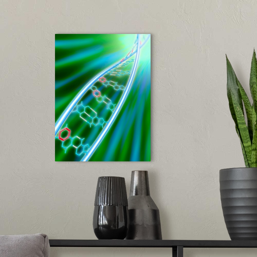 A modern room featuring xDNA molecule. Computer artwork of a molecule of expanded deoxyribonucleic acid (xDNA). Normal DN...